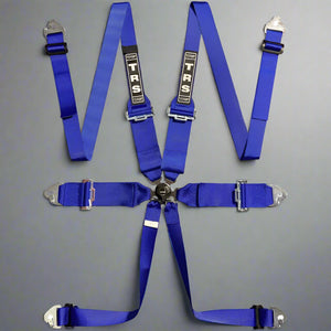 TRS 6 Point 'Magnum' Race Harness / Belts (FIA Homologated) - Black