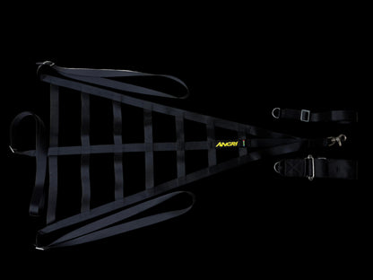 Race Car safety net with 'ANGRI' branding.