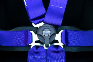 TRS 6 Point 'Magnum' Race Harness / Belts (FIA Homologated) - Black
