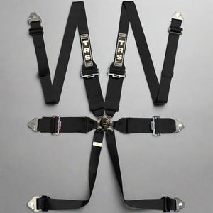 TRS 6 Point 'Magnum' Race Harness / Belts (FIA Homologated) - Red